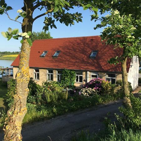 Bogebjerggard Bed & Breakfast Sønderborg Esterno foto