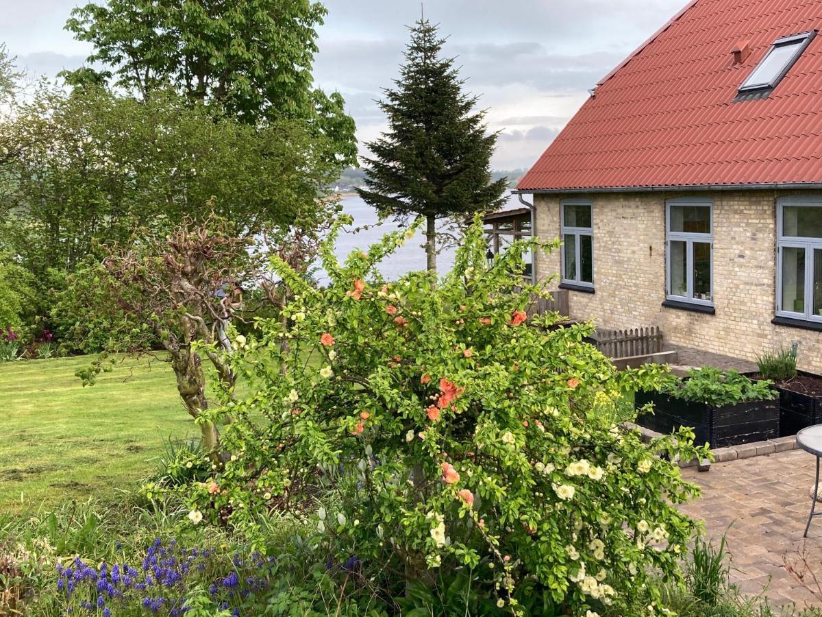 Bogebjerggard Bed & Breakfast Sønderborg Esterno foto