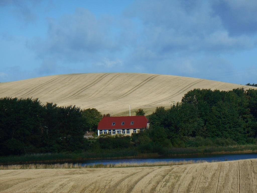 Bogebjerggard Bed & Breakfast Sønderborg Esterno foto
