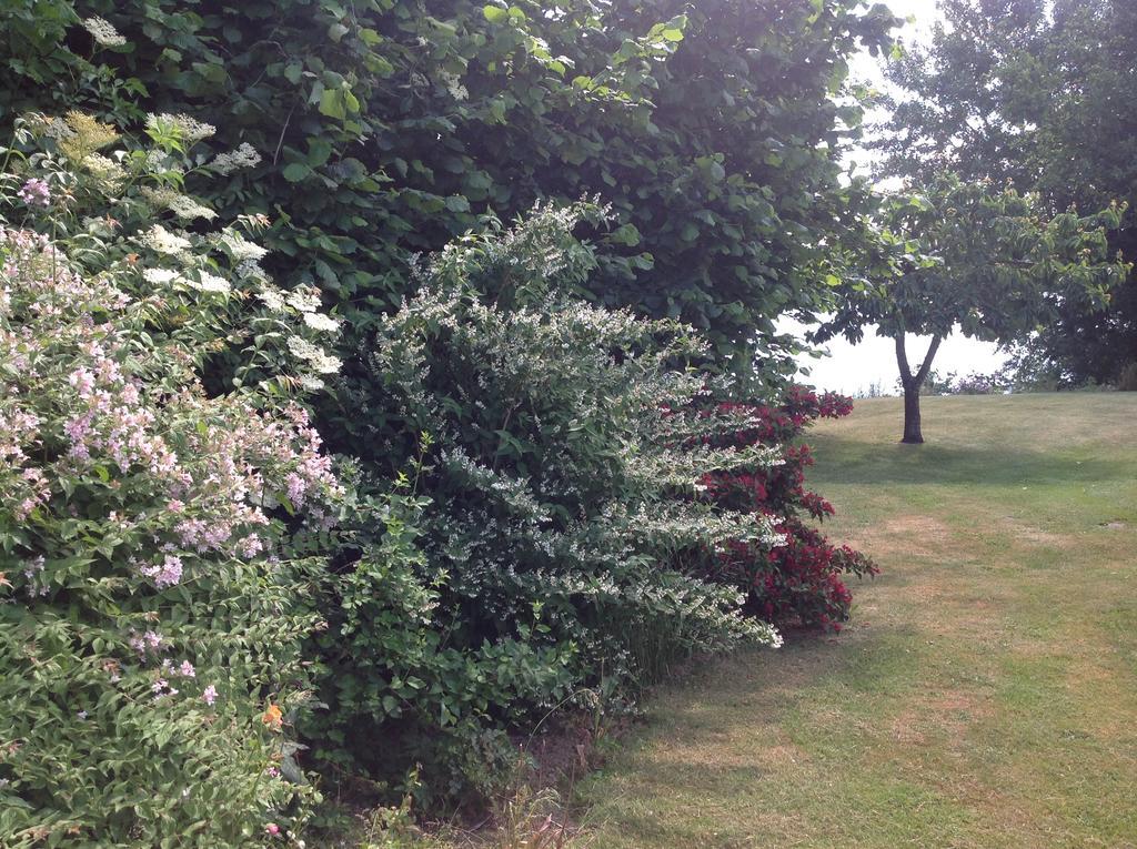 Bogebjerggard Bed & Breakfast Sønderborg Esterno foto