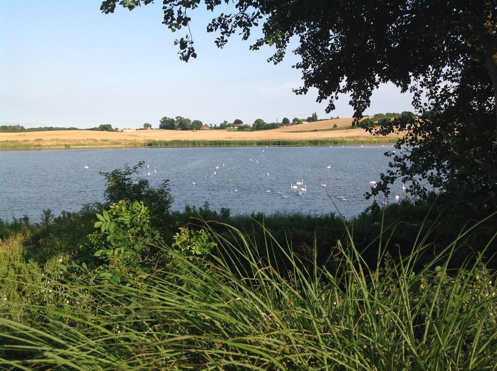 Bogebjerggard Bed & Breakfast Sønderborg Esterno foto