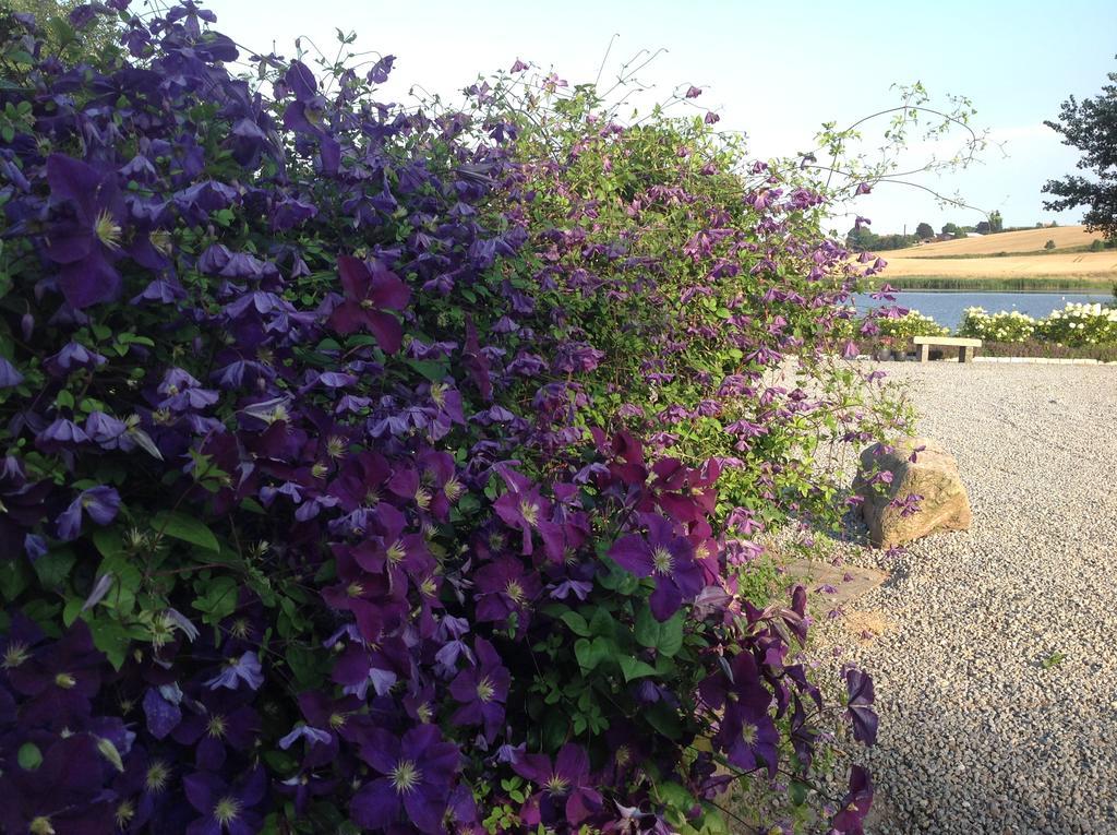 Bogebjerggard Bed & Breakfast Sønderborg Esterno foto